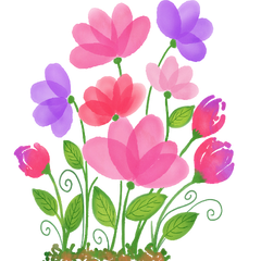 Papelito - kreatív hobbyparadicsom