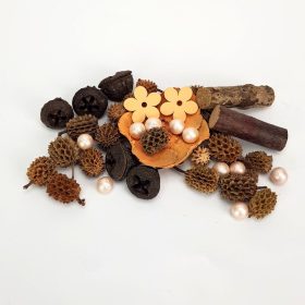 Tavaszváró terméscsomag - barack 0795