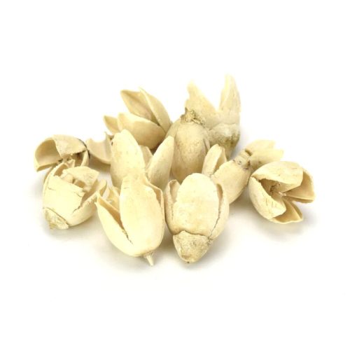 Terméscsomag bakuli fehérített 10db/cs 0999