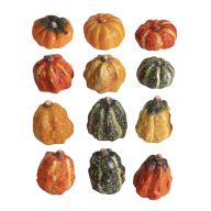 +Kerámia dísztök, vegyesen, 1 db 4*5cm 141119 – őszi dekorációhoz