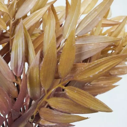 Szárazvirág hatás - ruszkusz csokor, 35cm, natúr-mályva 2031NM