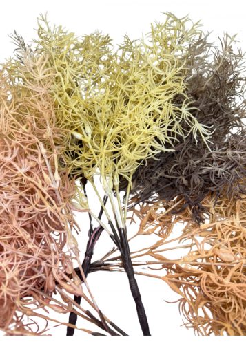 Szárazvirág hatás - aszparágusz csokor, 35cm, púder 2035PUD