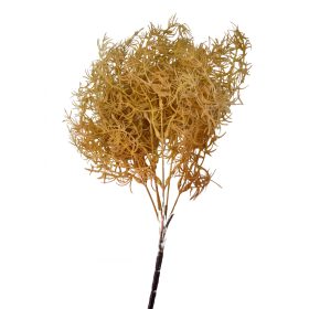   Szárazvirág hatás - aszparágusz csokor, 35cm, homoksárga 2035SAR