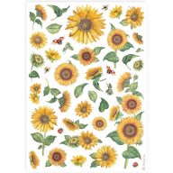 DFSA4898 - Dekupázs rizspapír A4 csom. - Napraforgók