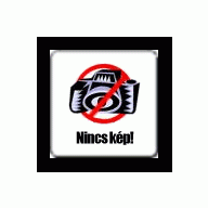 Formalyukasztó 76 mm, Virág, öt szirmú 2