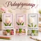 Köszöntő kártya pedagógusnapra, ballagásra, évzáróra – tulipán-dísszel, 3 féle
