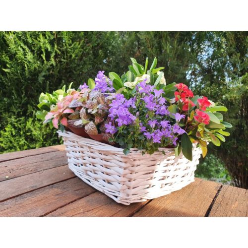 Fonott kocka vesszőtál -  fehér, béléssel 26*26*10cm 4096W