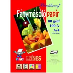   Színes fénymásoló papír A/4, Blackberry 80g 5*20ív/cs, pasztell színek  32440