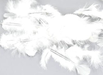 Madártoll 5-7cm, 10g, kb.100-150db,  - Fehér 7733E