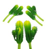 Kaktusz 12cm 6db OKOSÁR! – virágdekorációhoz, koszorúhoz