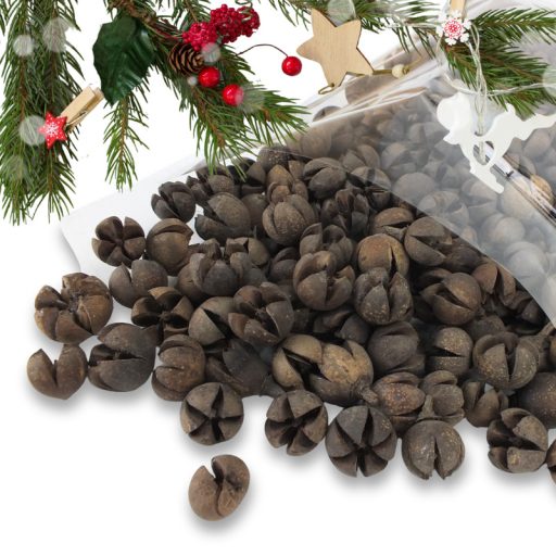 Natúr Tulipán termés 500gr OKOSÁR! – őszi dekorációhoz