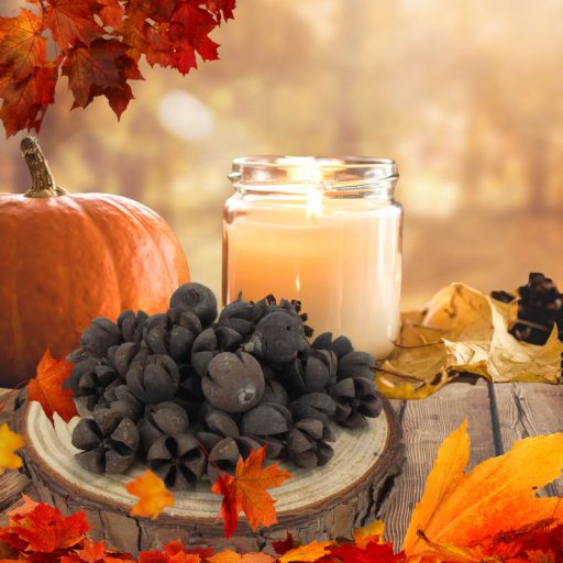 Natúr Tulipán termés 50db/csomag – őszi dekorációhoz