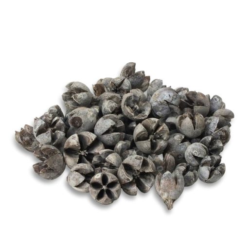 Tulipán termés 500gr - OKOSÁR! – koszorúhoz, természetes dekorációhoz