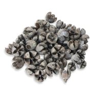 Tulipán termés 50db/csomag – koszorúhoz, természetes dekorációhoz