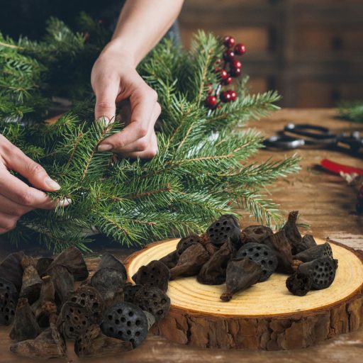  Lótusz double mini termés csomag 20db/csom – koszorúhoz, természetes dekorációhoz