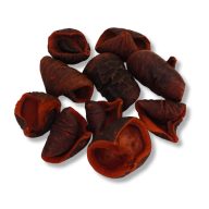 Terrakotta színű csavart termés 10db/csomag – őszi dekorációhoz