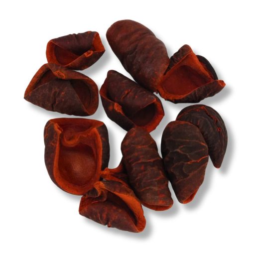 Terrakotta színű csavart termés 10db/csomag – őszi dekorációhoz