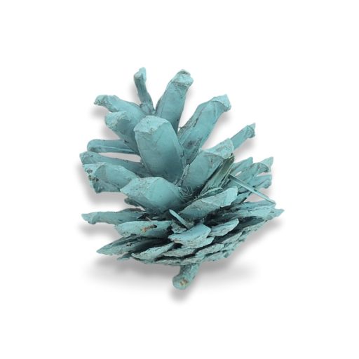 Rózsatoboz aqua 5db/csomag – koszorúhoz, természetes dekorációhoz