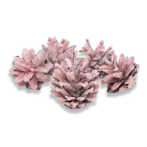 Rózsatoboz rózsaszín 5db/csomag – koszorúhoz, természetes dekorációhoz