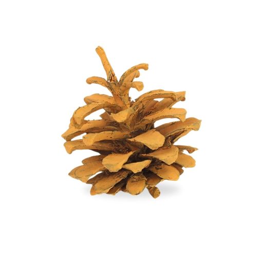 Rózsatoboz narancs 5db/csomag – koszorúhoz, természetes dekorációhoz