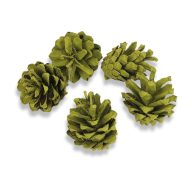 Rózsatoboz oliva 5db/csomag – koszorúhoz, természetes dekorációhoz