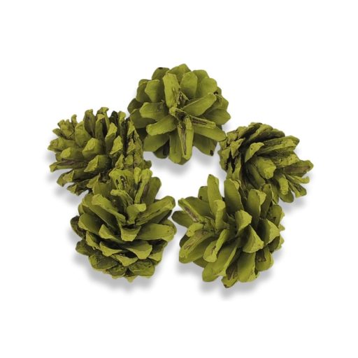 Rózsatoboz oliva 5db/csomag – koszorúhoz, természetes dekorációhoz