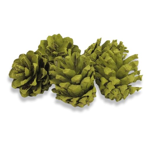 Rózsatoboz oliva 5db/csomag – koszorúhoz, természetes dekorációhoz