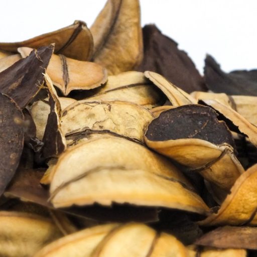 XXL termés csomag - Őznyelv mini natúr – koszorúhoz, természetes dekorációhoz