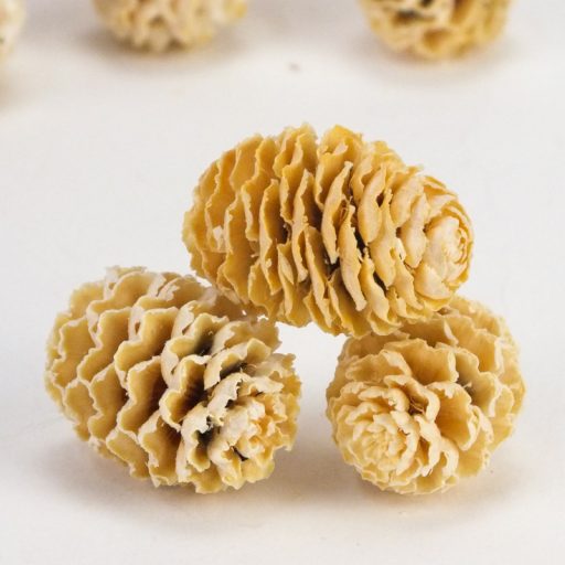 Meridianum fehérített termés csomag 10db/csomag – koszorúhoz, természetes dekorációhoz