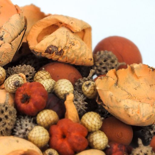 Extra terméscsomag - terrakotta – koszorúhoz, természetes dekorációhoz