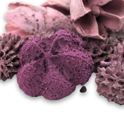 Vándor terméscsomag - mályva – koszorúhoz, természetes dekorációhoz