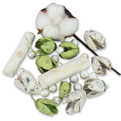 Kincsgyűjtő terméscsomag - menta – koszorúhoz, természetes dekorációhoz