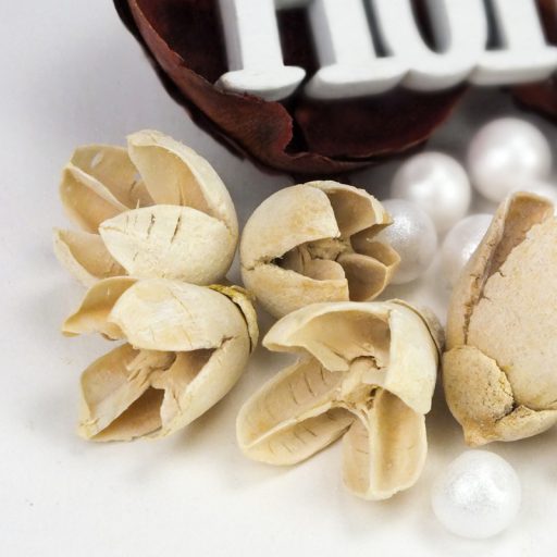 Tavaszváró terméscsomag - Home felirattal – húsvéti dekorációhoz