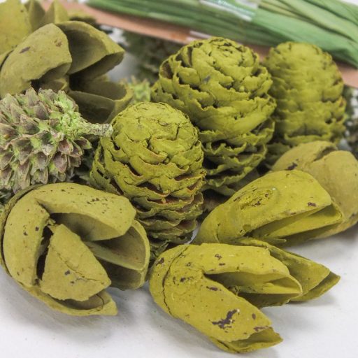 Kikelet terméscsomag raffiával - Oliva – húsvéti dekorációhoz