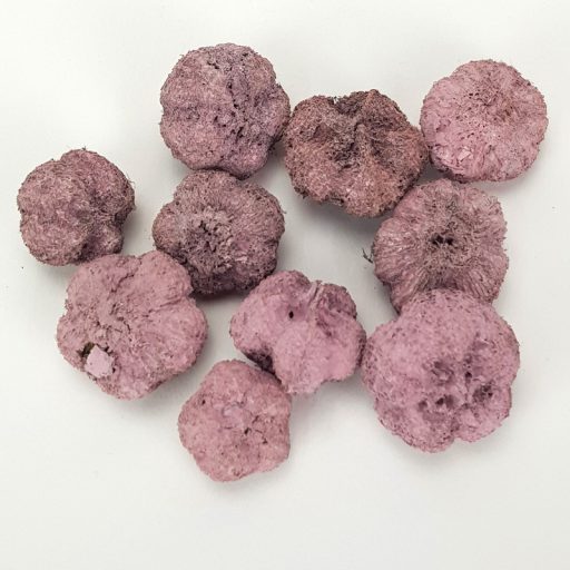 Termés fokhagyma mályva 10db/cs – koszorúhoz, természetes dekorációhoz