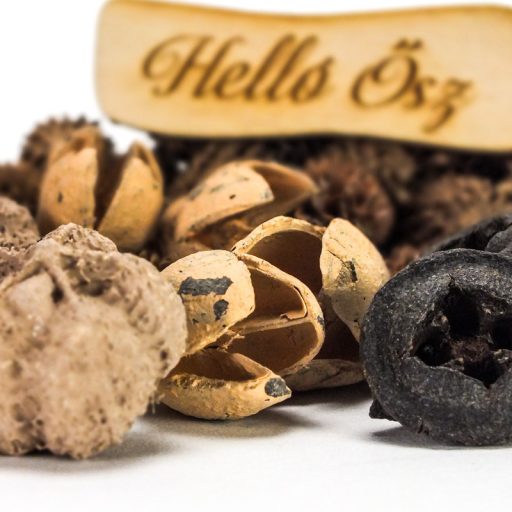 Természetjáró gyűjtemény cappuccino – őszi dekorációhoz