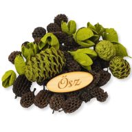 Természetjáró gyűjtemény oliva – őszi dekorációhoz