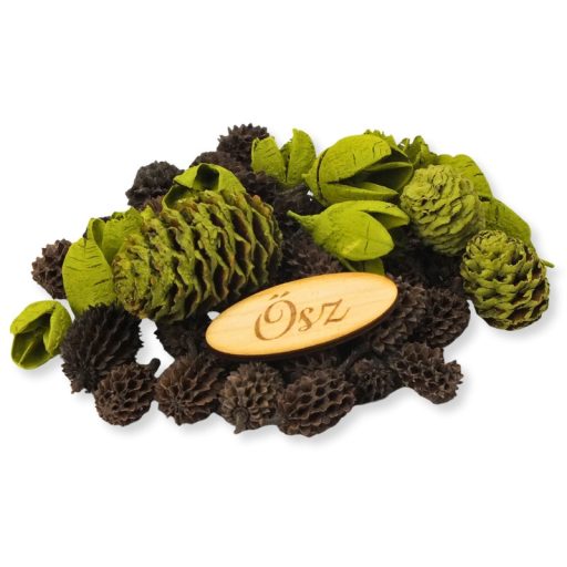 Természetjáró gyűjtemény oliva – őszi dekorációhoz