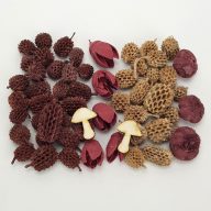 Természetjáró gyűjtemény burgundi – őszi dekorációhoz