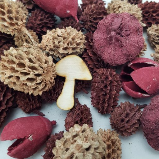 Természetjáró gyűjtemény burgundi – őszi dekorációhoz