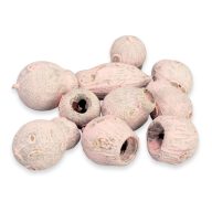 Eukalyptus Bell Gum halvány rózsaszín – koszorúhoz, természetes dekorációhoz