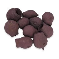 Eukalyptus Bell Gum szeder – koszorúhoz, természetes dekorációhoz