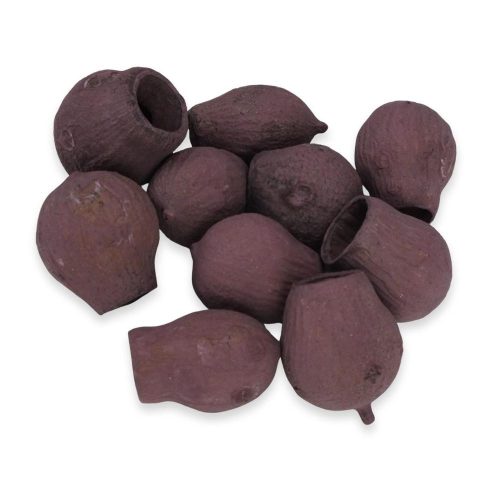 Eukalyptus Bell Gum szeder