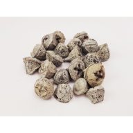 Eukaliptusz termés hamvas 20db/cs – koszorúhoz, természetes dekorációhoz