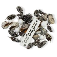 Erdészlak havas csomag – koszorúhoz, természetes dekorációhoz