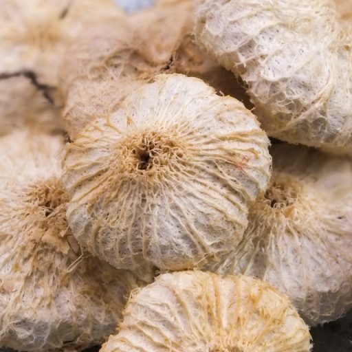 Fokhagyma alakú termés nagy 10db/csomag – koszorúhoz, természetes dekorációhoz