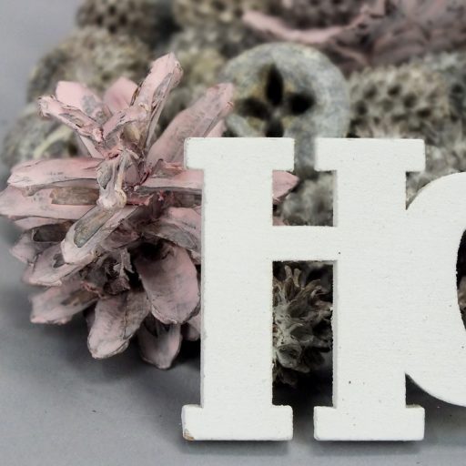 XXL karácsonyi terméscsomag HOHOHO – koszorúhoz, természetes dekorációhoz