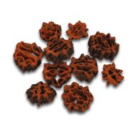 Dió termés barna 10db/csomag – őszi dekorációhoz – Szezonok, alkalmak