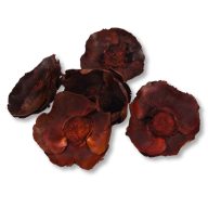 Narancs pipacs termés 5db/csomag – koszorúhoz, természetes dekorációhoz