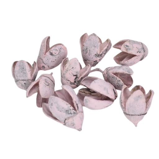 Terméscsomag bakuli rózsaszín 10db/csomag – koszorúhoz, természetes dekorációhoz